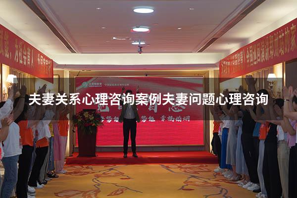 夫妻关系心理咨询案例（夫妻问题心理咨询）