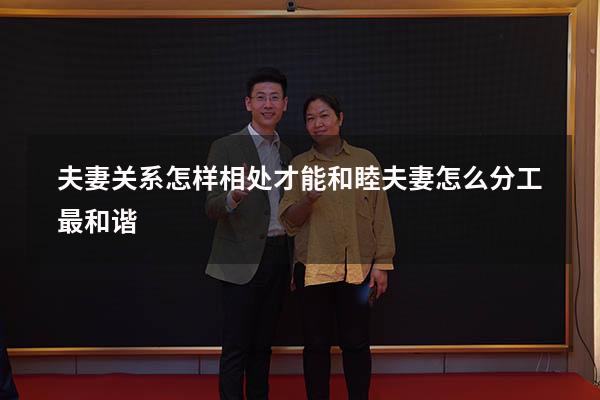 夫妻关系怎样相处才能和睦（夫妻怎么分工最和谐）
