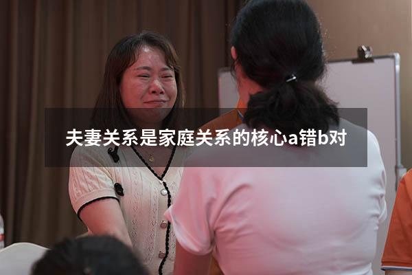 夫妻关系是家庭关系的核心a错b对