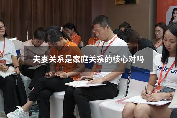 夫妻关系是家庭关系的核心对吗