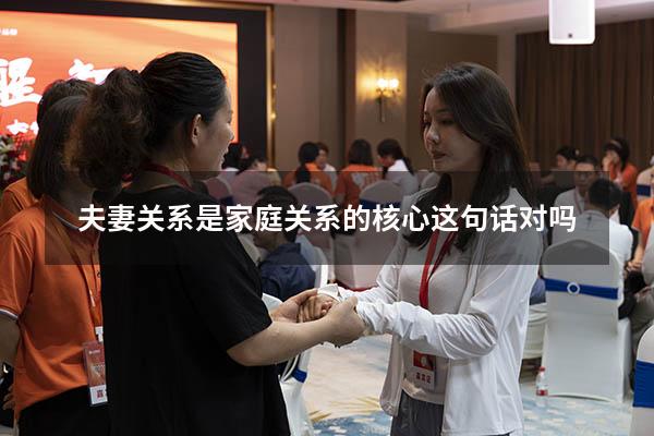 夫妻关系是家庭关系的核心这句话对吗