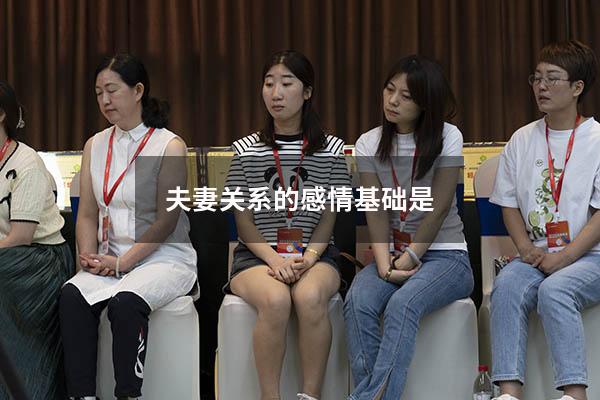 夫妻关系的感情基础是