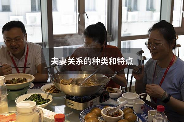 夫妻关系的种类和特点