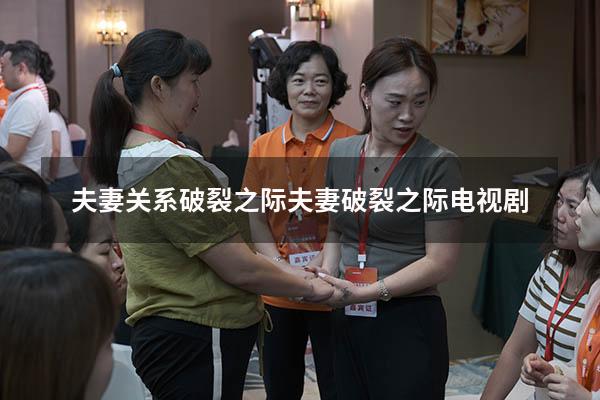 夫妻关系破裂之际（夫妻破裂之际电视剧）
