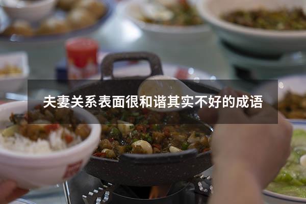 夫妻关系表面很和谐其实不好的成语