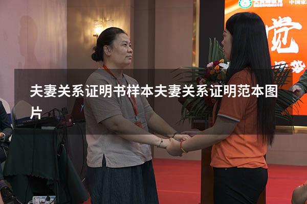 夫妻关系证明书样本（夫妻关系证明范本图片）