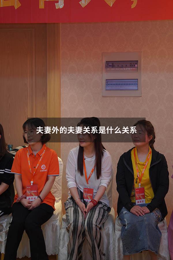 夫妻外的夫妻关系是什么关系