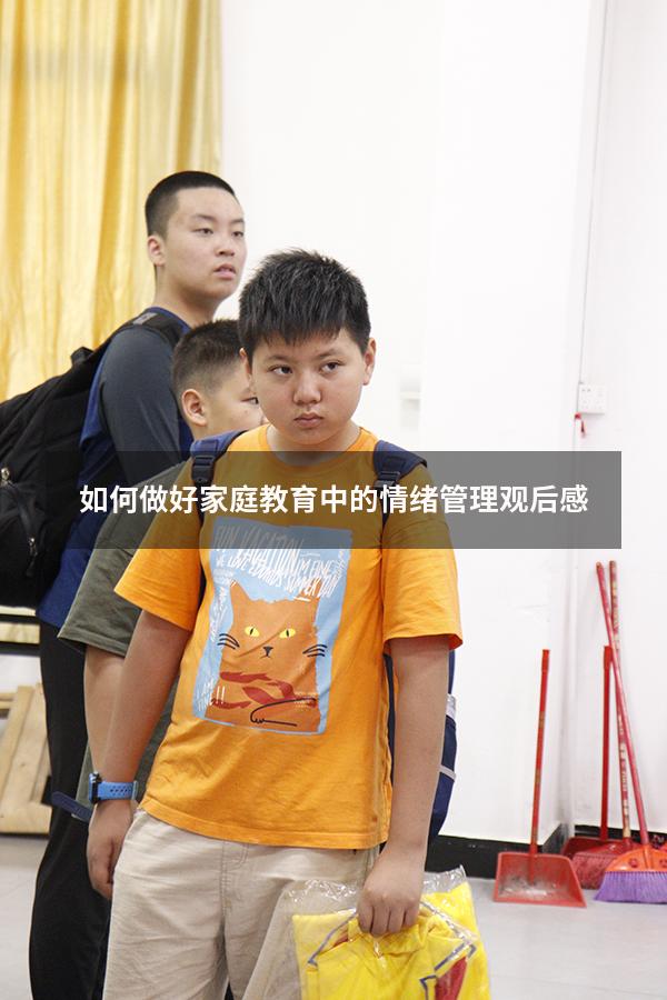 如何做好家庭教育中的情绪管理观后感