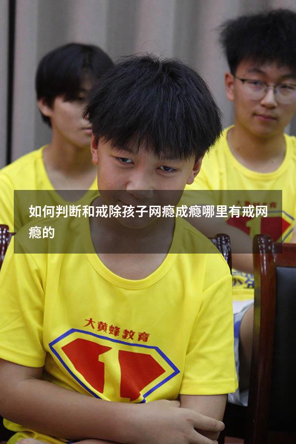 如何判断和戒除孩子网瘾成瘾（哪里有戒网瘾的）