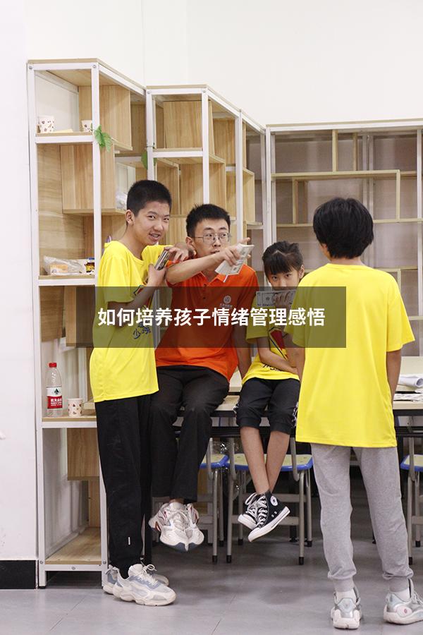 如何培养孩子情绪管理感悟