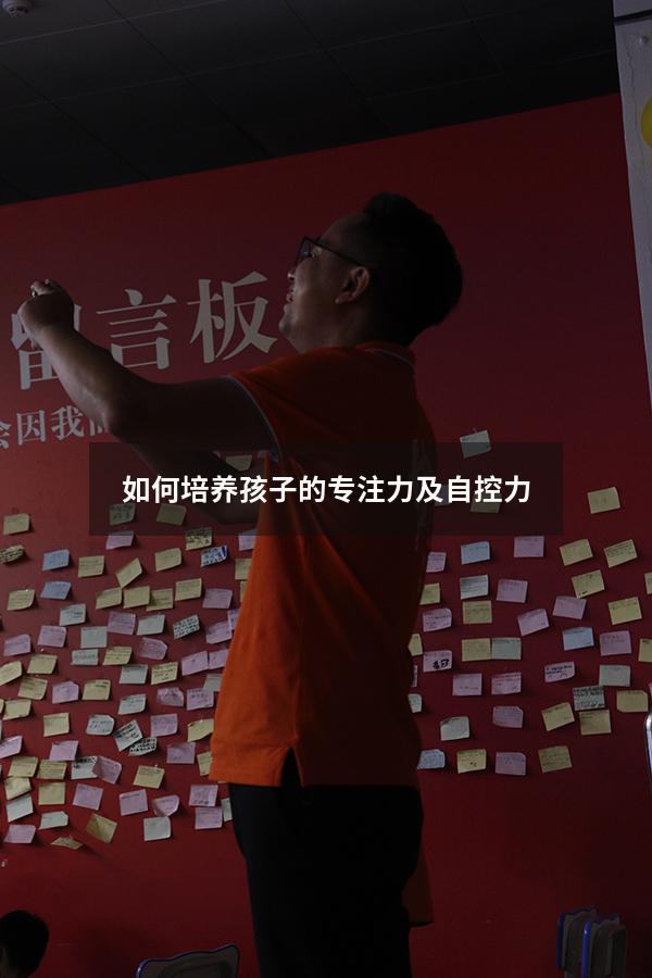 如何培养孩子的专注力及自控力