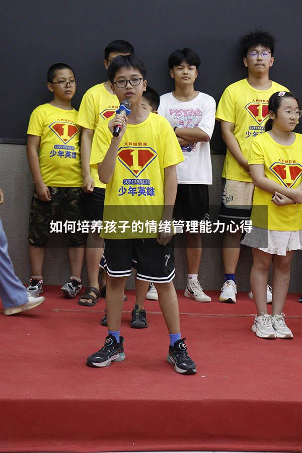 如何培养孩子的情绪管理能力心得