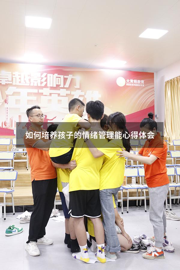 如何培养孩子的情绪管理能心得体会