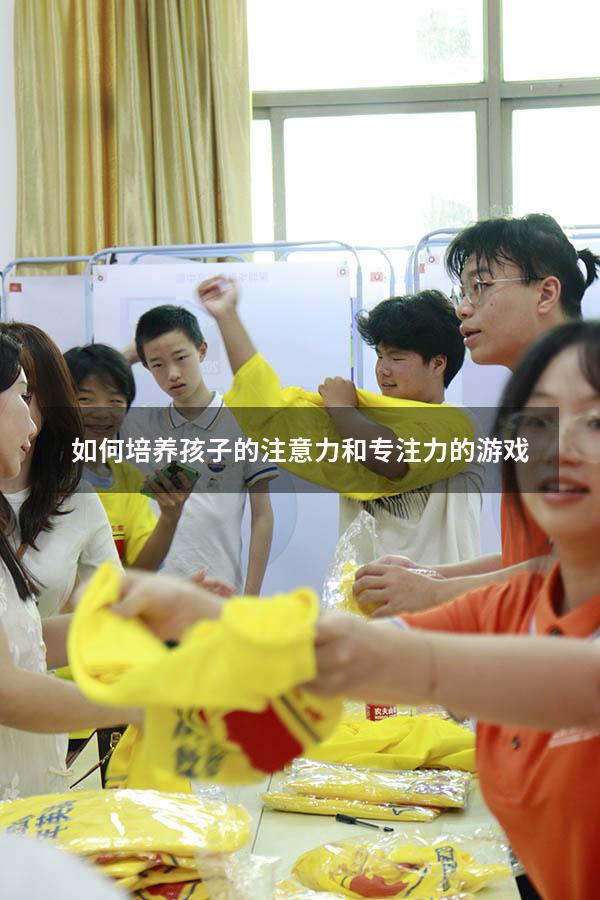 如何培养孩子的注意力和专注力的游戏