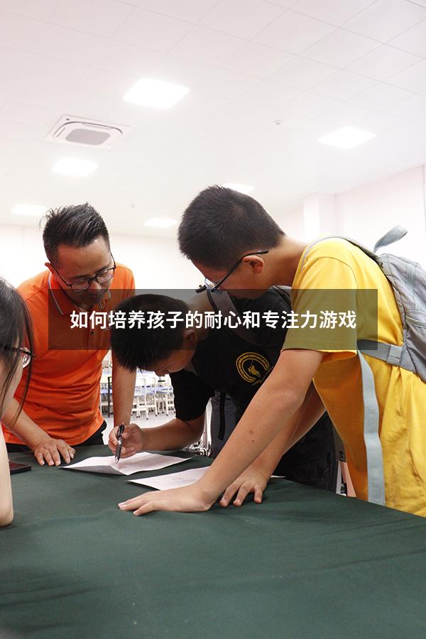 如何培养孩子的耐心和专注力游戏