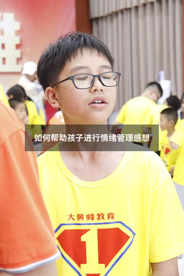 如何帮助孩子进行情绪管理感想