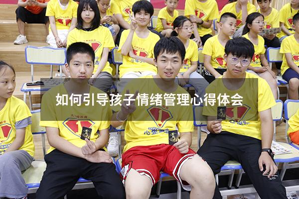 如何引导孩子情绪管理心得体会
