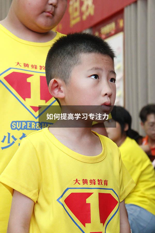 如何提高学习专注力