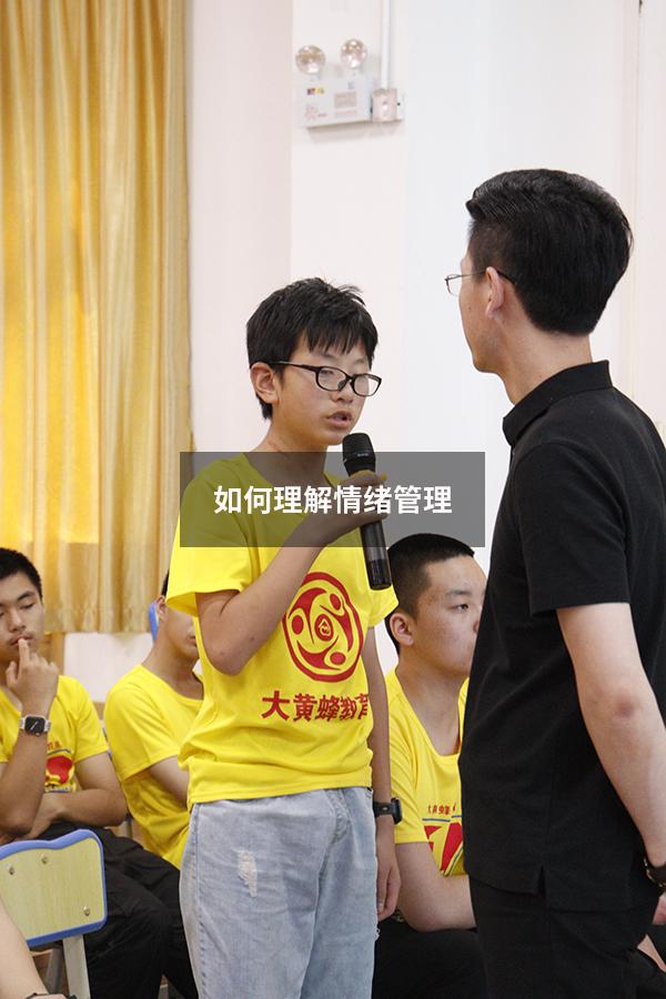 如何理解情绪管理