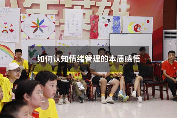 如何认知情绪管理的本质感悟