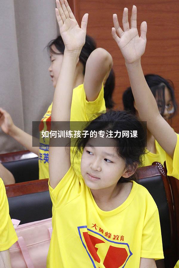 如何训练孩子的专注力网课