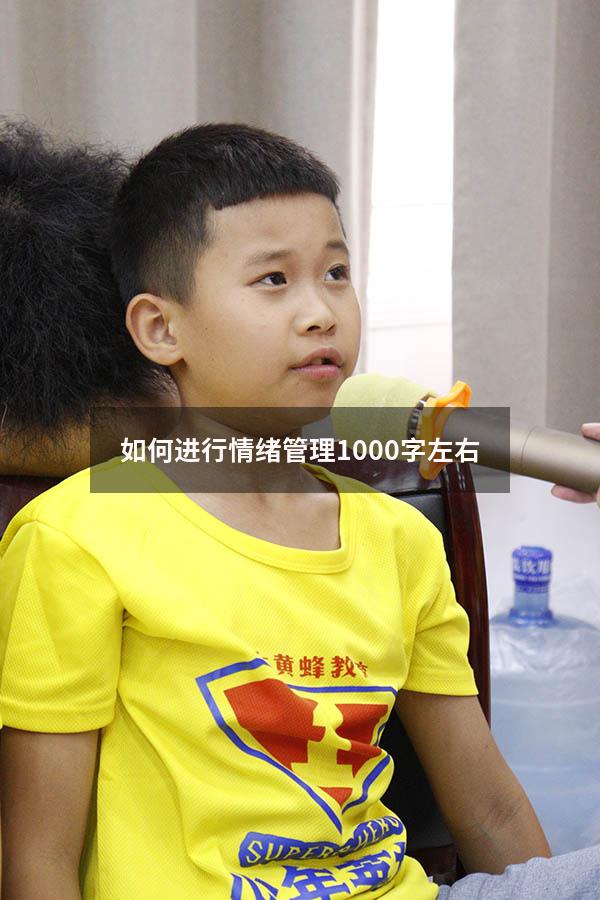 如何进行情绪管理1000字左右