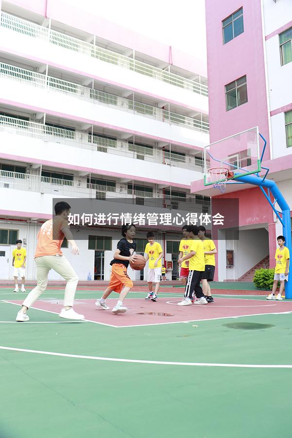 如何进行情绪管理心得体会