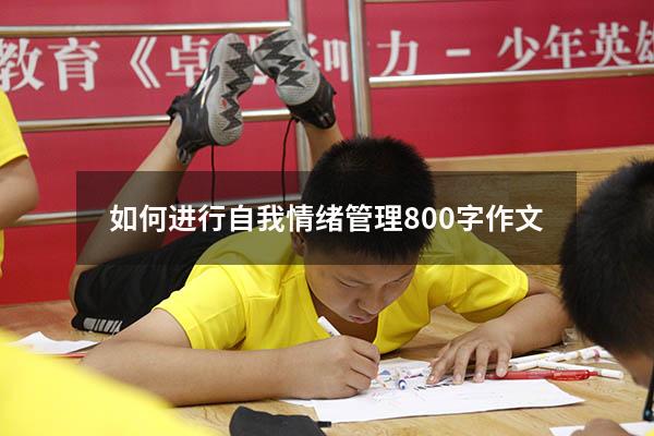 如何进行自我情绪管理800字作文