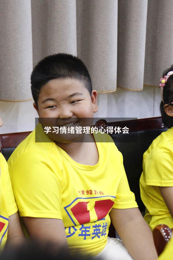 学习情绪管理的心得体会9087