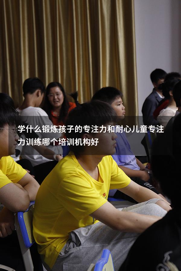 学什么锻炼孩子的专注力和耐心（儿童专注力训练哪个培训机构好）