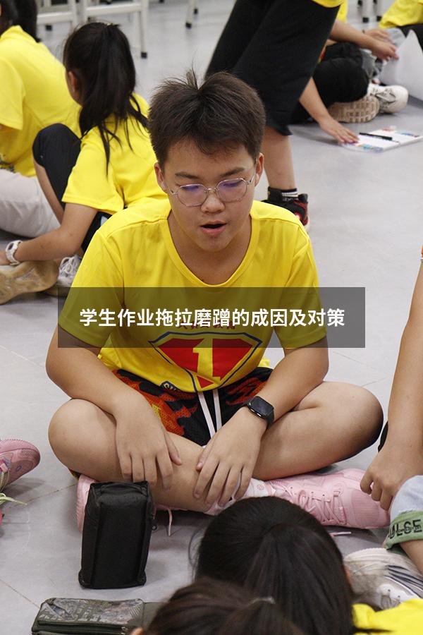 学生作业拖拉磨蹭的成因及对策
