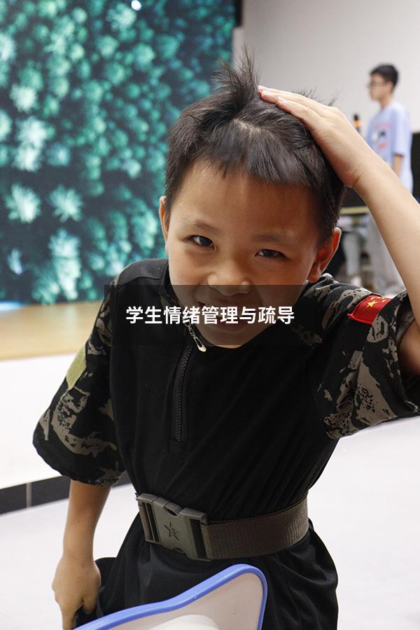 学生情绪管理与疏导