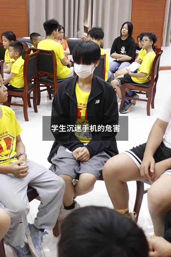 学生沉迷手机的危害