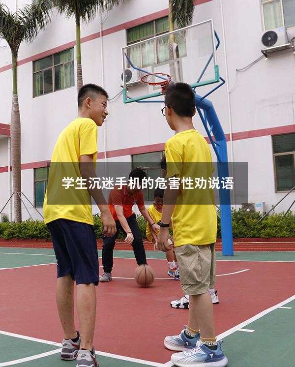 学生沉迷手机的危害性劝说语