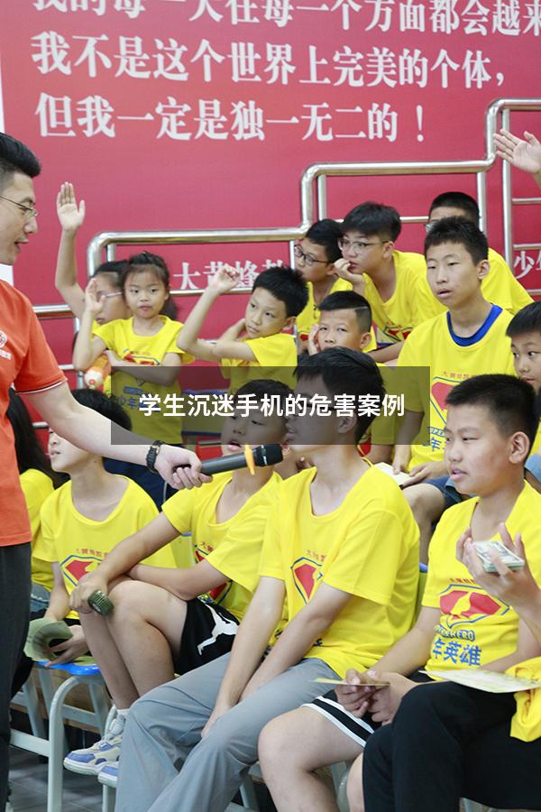 学生沉迷手机的危害案例（青少年沉迷网络案例）