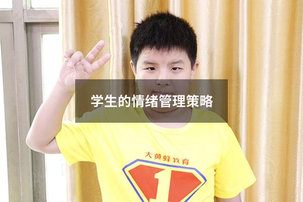 学生的情绪管理策略
