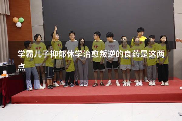 学霸儿子抑郁休学，治愈叛逆的良药是这两点（抑郁厌学休学在家的学生怎么自救）