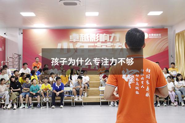 孩子为什么专注力不够