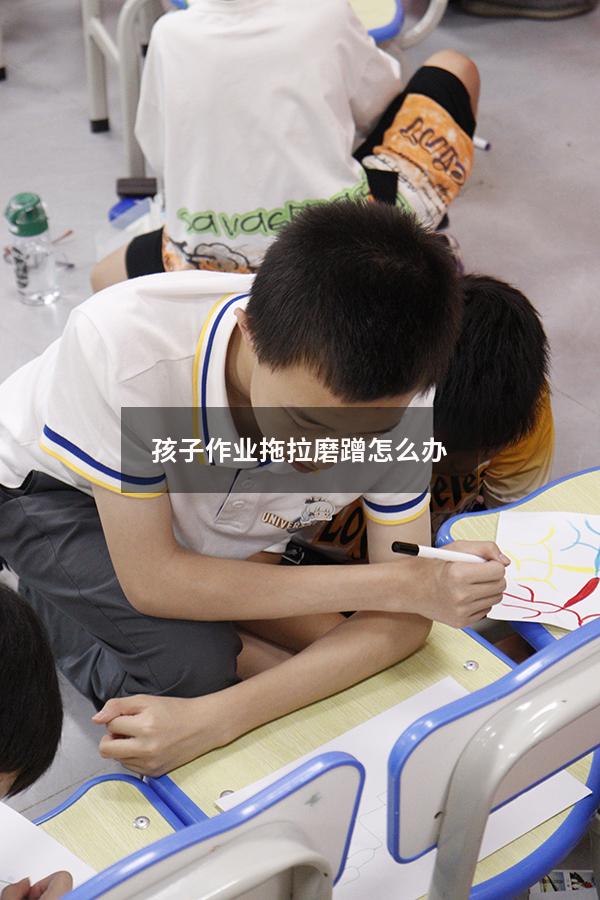 孩子作业拖拉磨蹭怎么办（怎么让孩子不拖拉磨蹭）