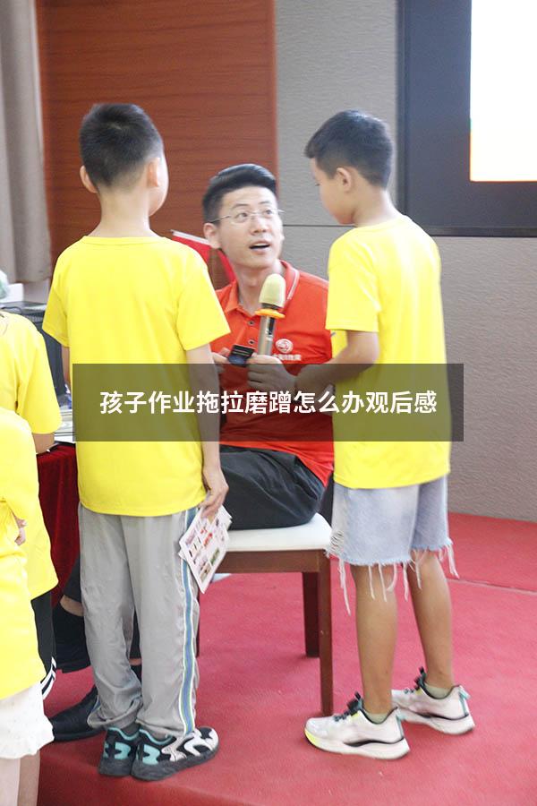 孩子作业拖拉磨蹭怎么办观后感