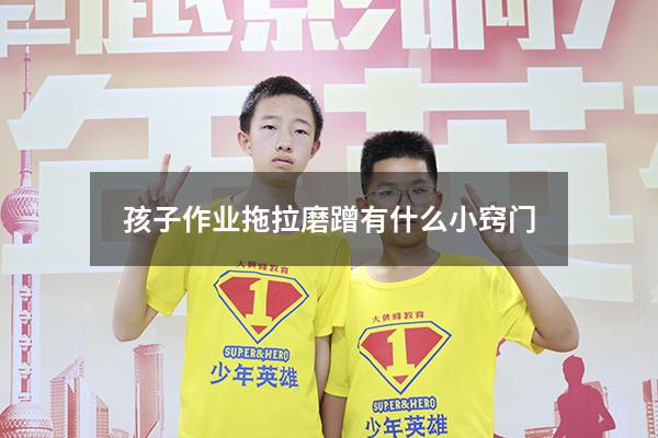 孩子作业拖拉磨蹭有什么小窍门