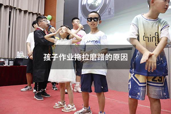 孩子作业拖拉磨蹭的原因（男孩做作业磨蹭）