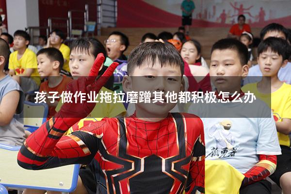 孩子做作业拖拉磨蹭其他都积极怎么办