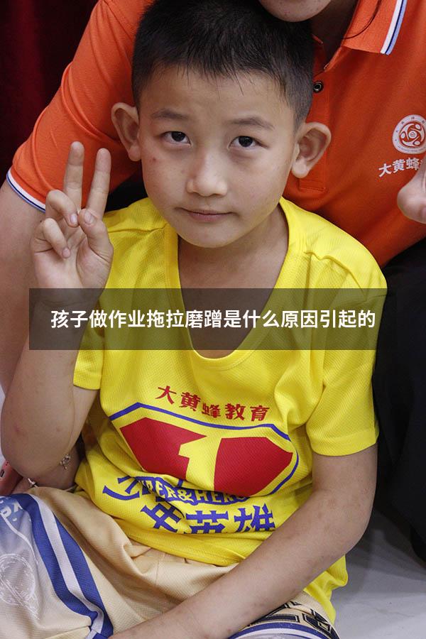 孩子做作业拖拉磨蹭是什么原因引起的（孩子作业磨蹭拖拉怎么办）