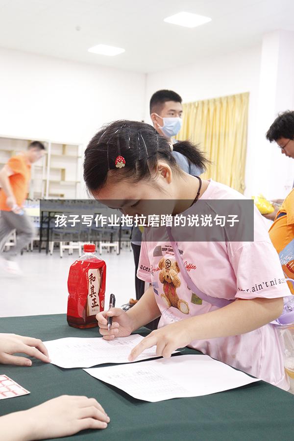 孩子写作业拖拉磨蹭的说说句子