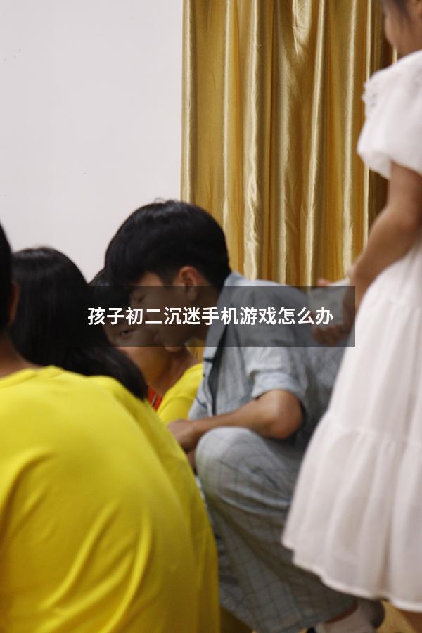 孩子初二沉迷手机游戏怎么办（孩子初二厌学怎么办）