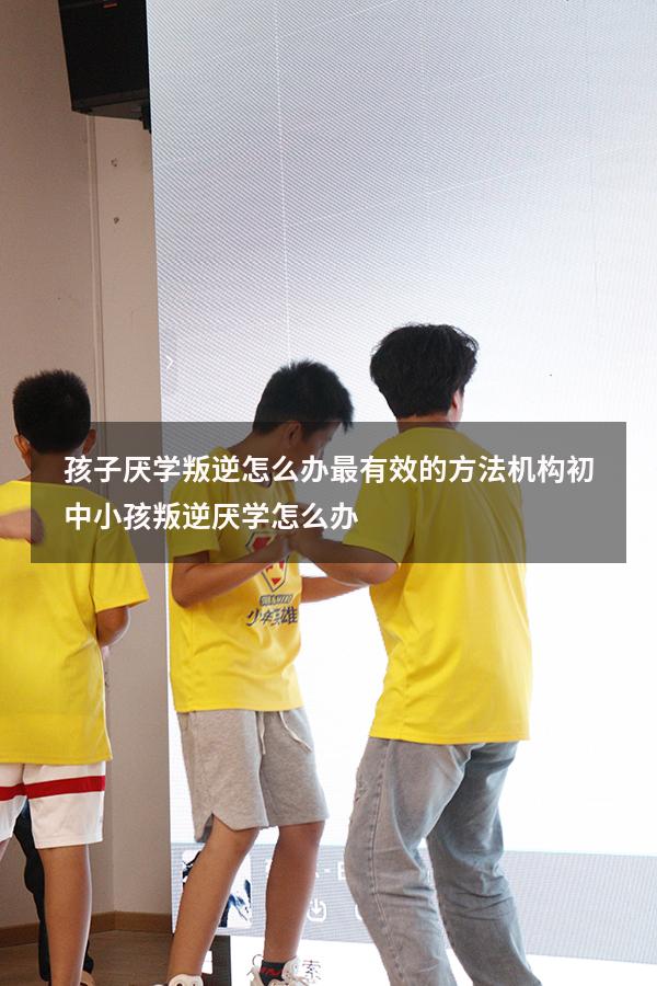 孩子厌学叛逆怎么办最有效的方法机构（初中小孩叛逆厌学怎么办）