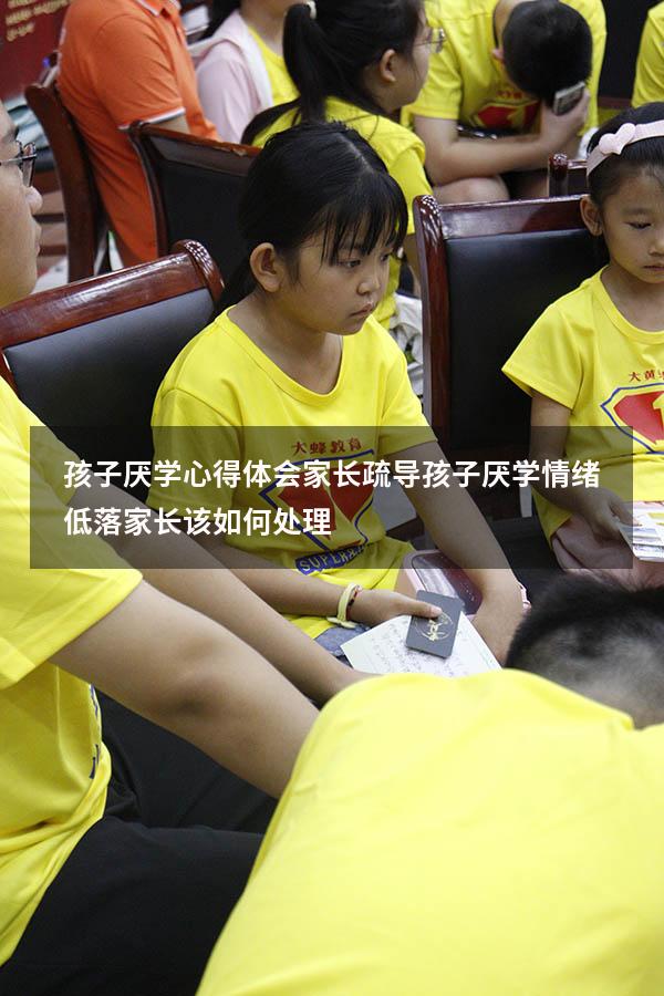孩子厌学心得体会家长疏导（孩子厌学情绪低落家长该如何处理）