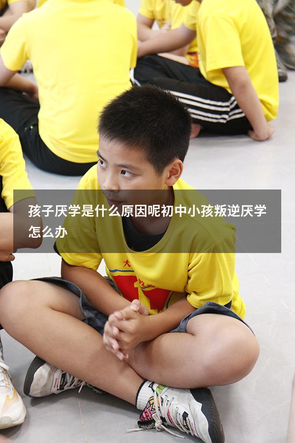 孩子厌学是什么原因呢（初中小孩叛逆厌学怎么办）