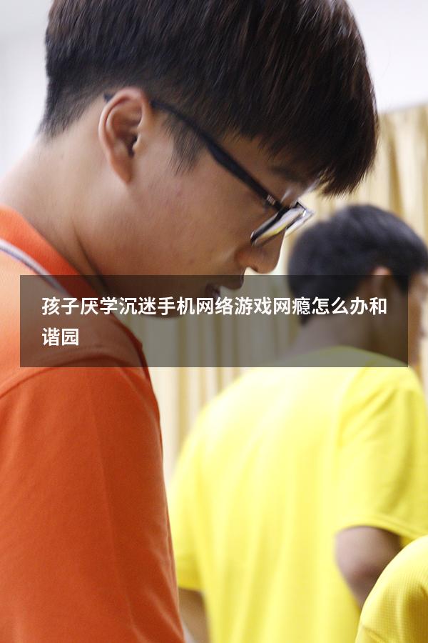 孩子厌学沉迷手机网络游戏网瘾怎么办和谐园